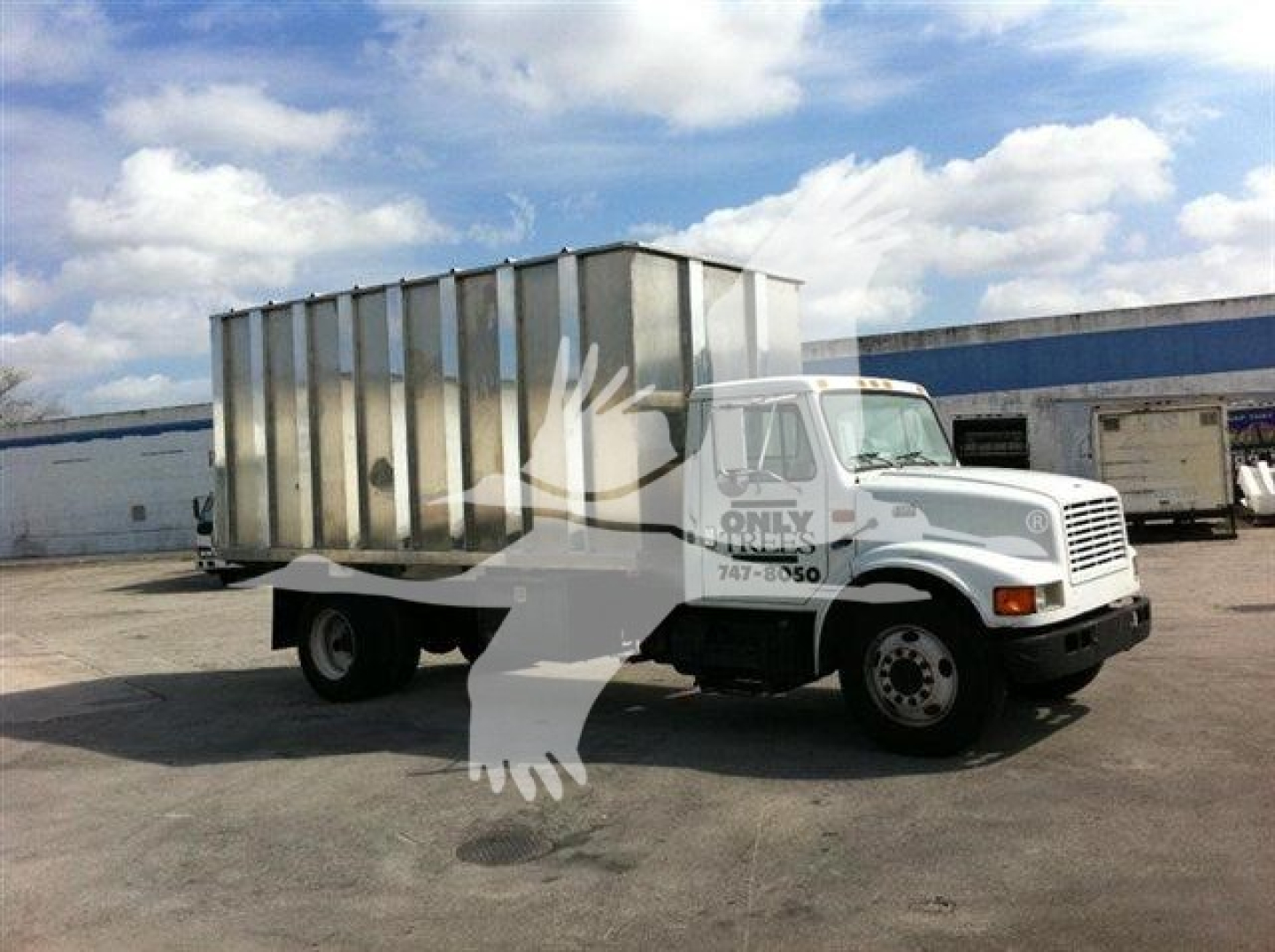 Dump truck with large metal dump bed in a dealership lot, white cab, blue building in background.