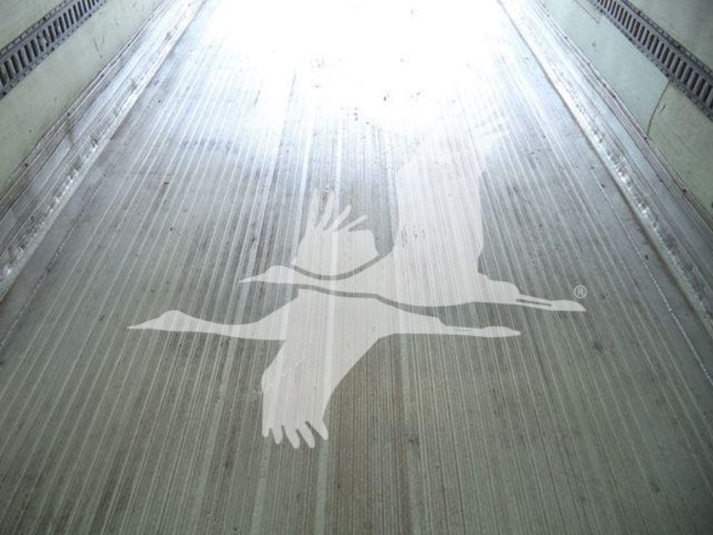 Truck interior showing a large white Freightliner logo on a ribbed metal floor.