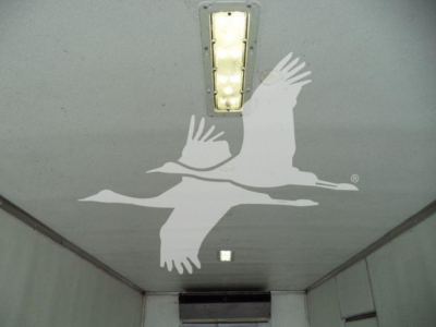 Freightliner box truck interior ceiling with logo overlay and ceiling light