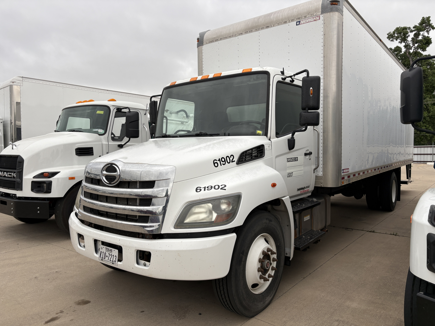 Box truck from the front-left showing Hino 268A with white cab and box body, 61902 number on hood, and large side mirrors.