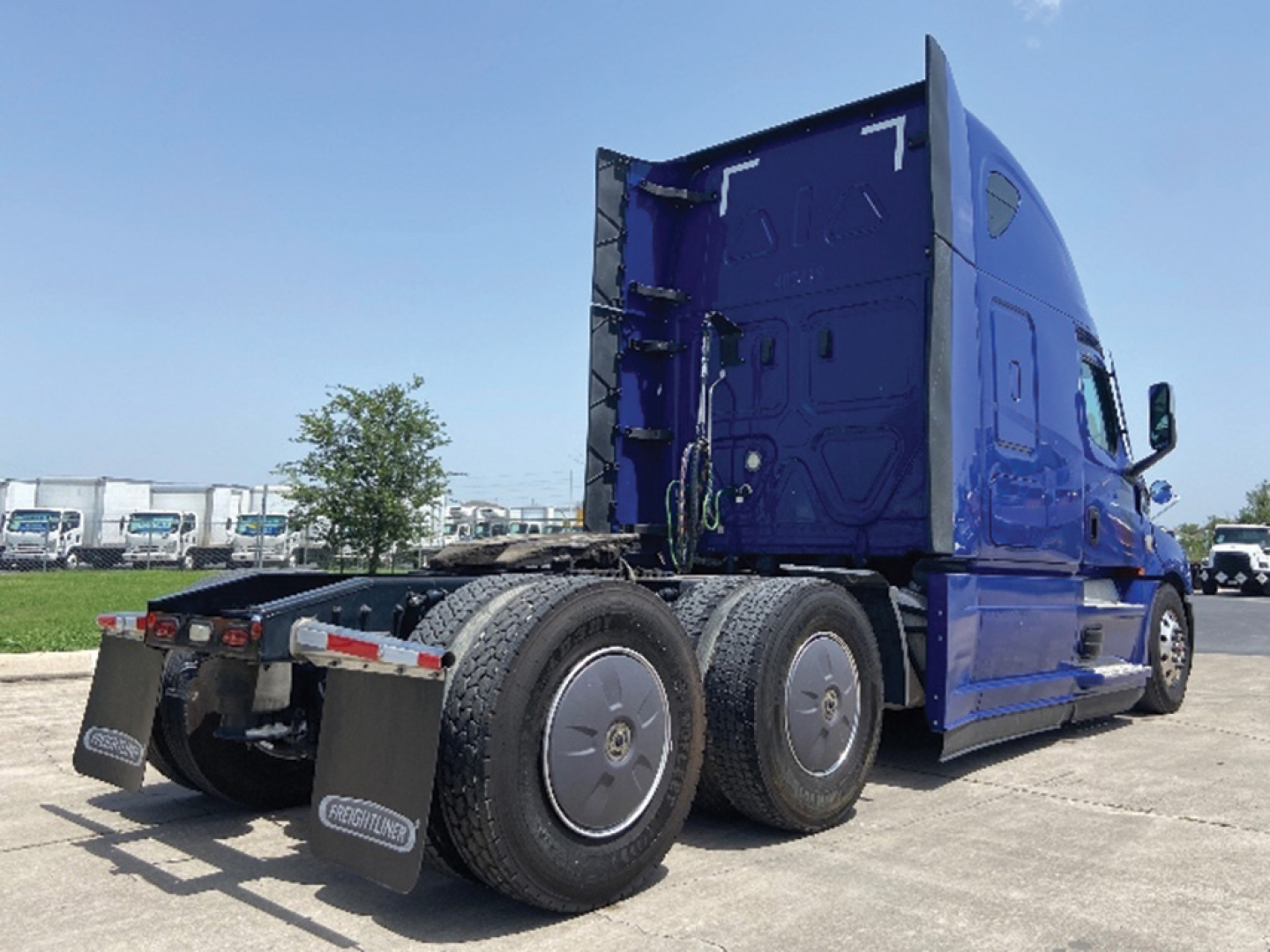 Freightliner Cascadia126 truck rear-three-quarter view showing dual rear axles, blue sleeper cab, and black mud flaps with Freightliner logo.