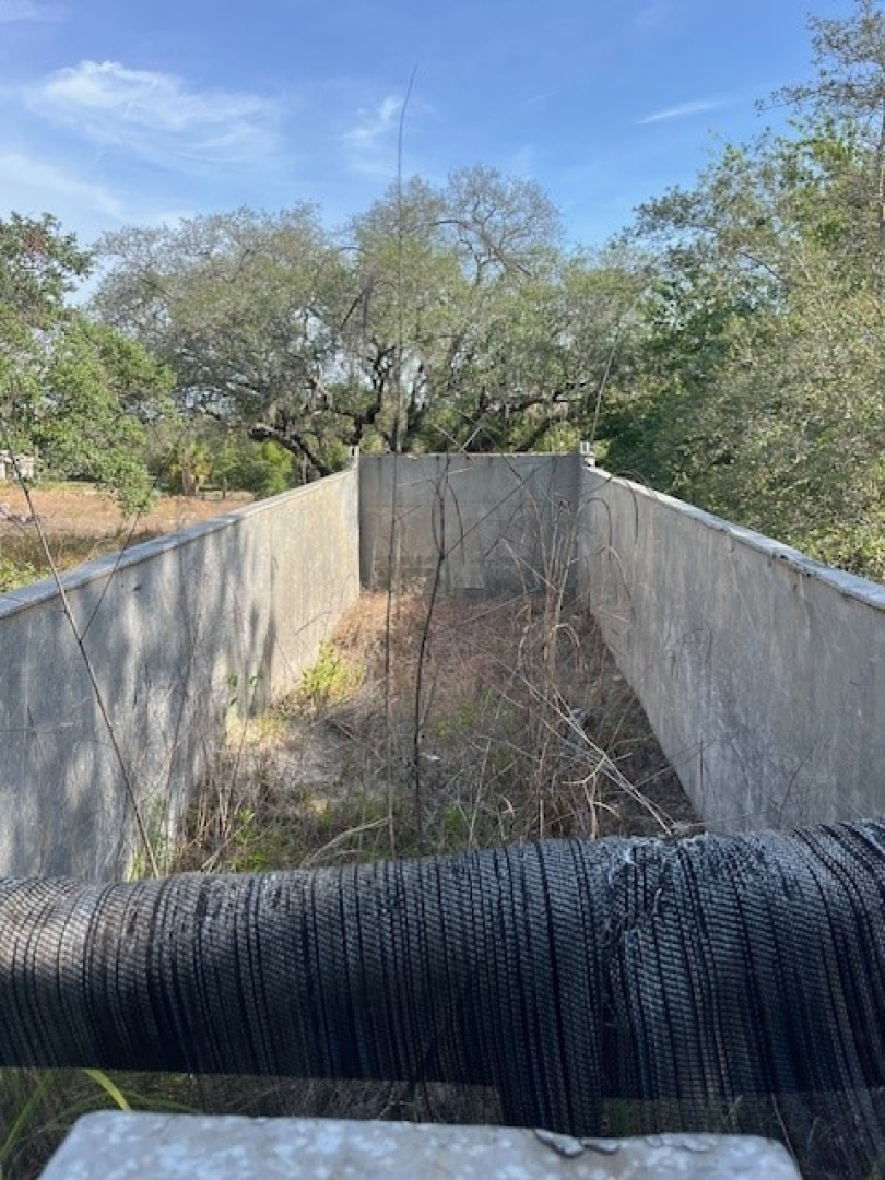 Dump trailer interior showing metal walls of a long rectangular bed with overgrown vegetation; view from front of trailer with black flexible pipe in foreground.