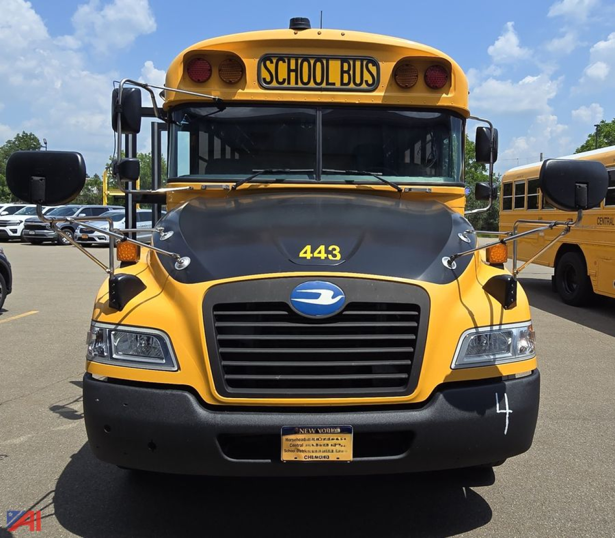 School bus front view showing yellow body, black hood, blue logo on grille, number 443, and 'SCHOOL BUS' sign on top.