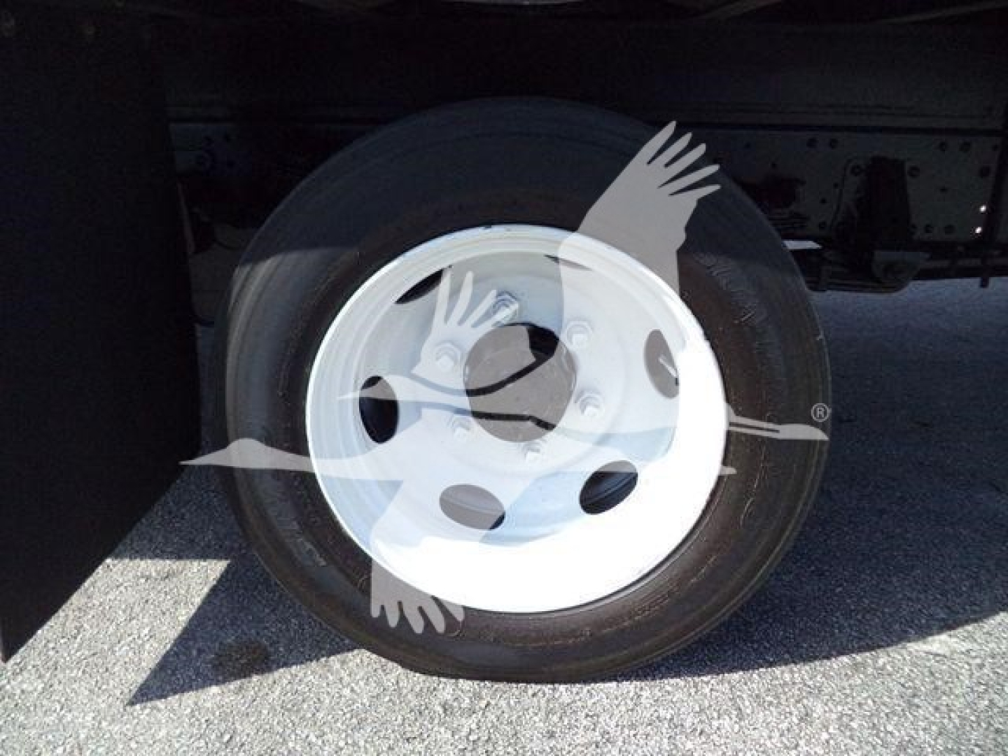 Isuzu NPRR truck wheel and tire view showing steel rim and tire with hub; undercarriage and chassis visible.