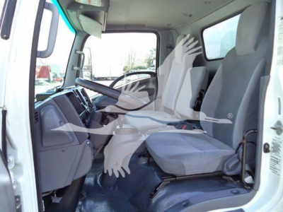 Isuzu NPR/NRR cab interior showing steering wheel and driver seat, dashboard, and front passenger seat; light gray seats.