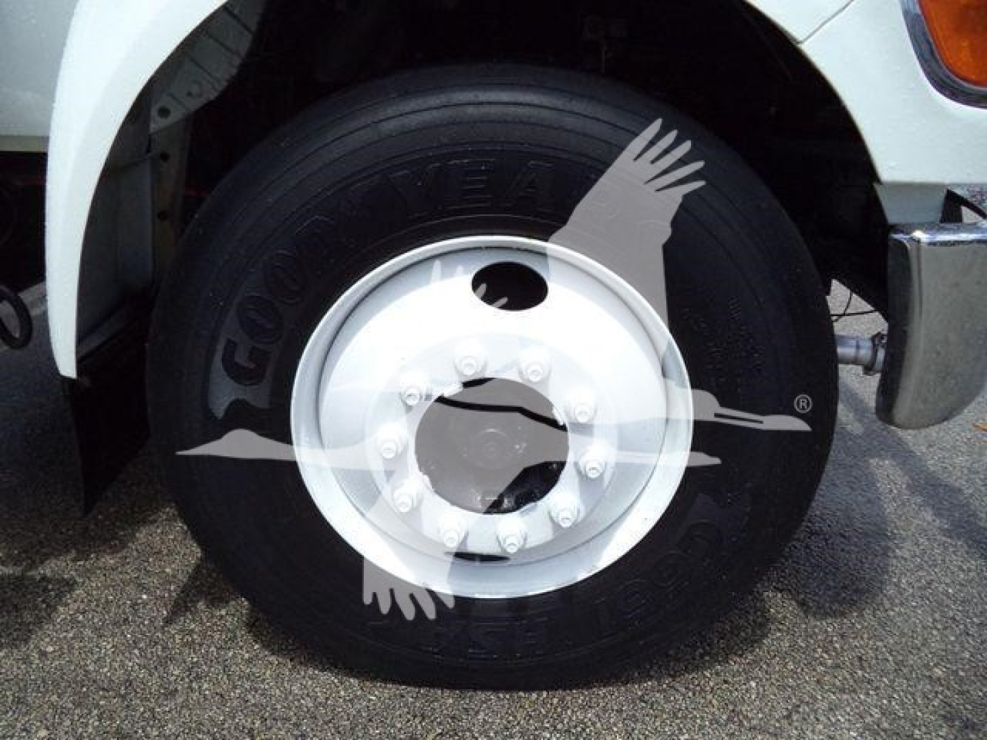 Ford F650 wheel and tire close-up showing Goodyear tire and white steel wheel with hub and lug nuts.