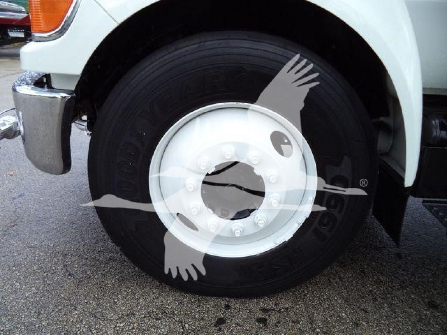 Ford F650 wheel and tire close-up showing steel wheel with Goodyear tire on front fender.