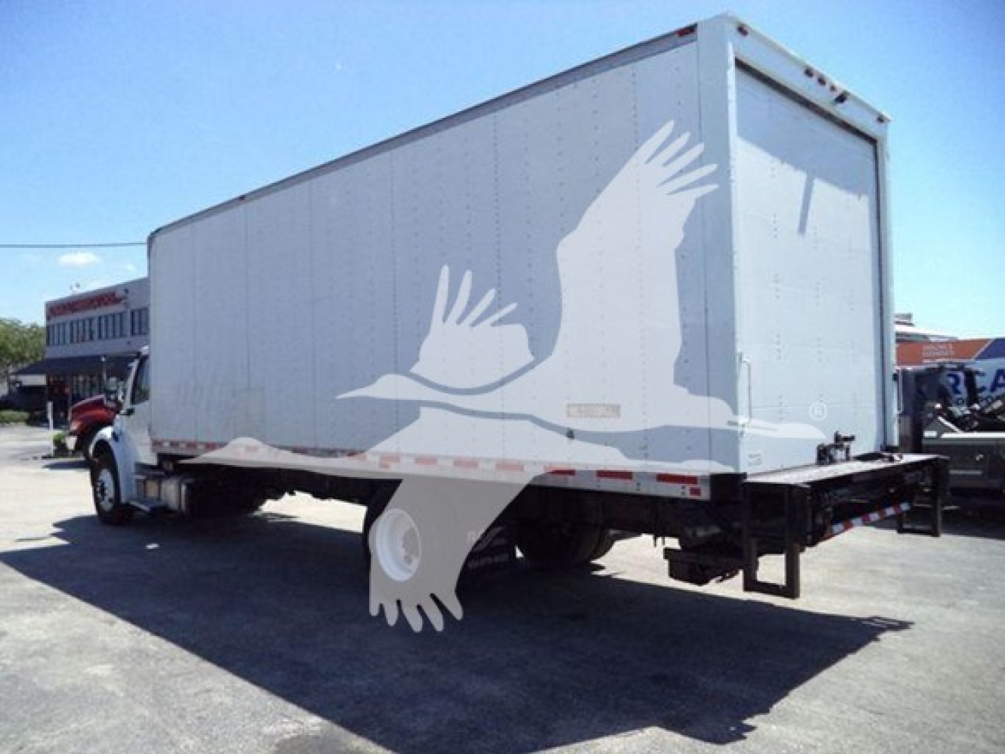Box truck with a light gray cargo box attached to a Freightliner chassis; side graphic of birds in flight; rear and left side view.