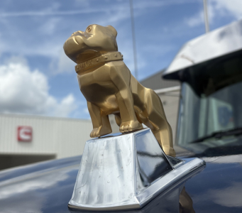 Gold bulldog hood ornament on Mack truck with chrome base visible