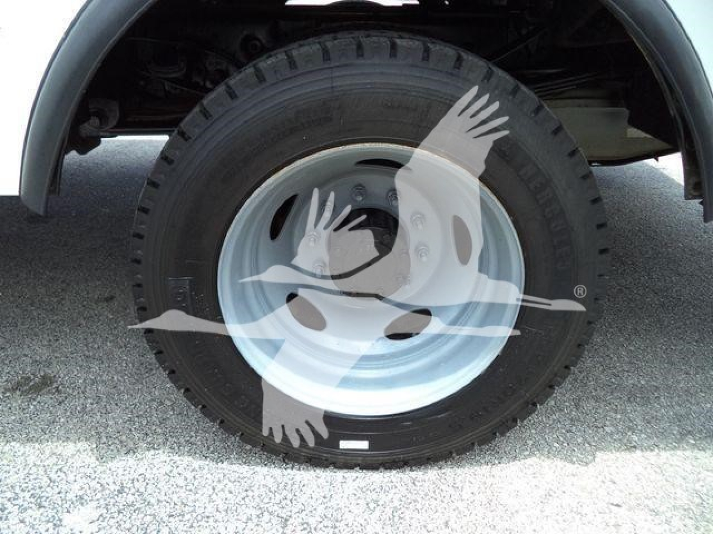 Ford F-450 wheel and tire close-up under front fender showing steel wheel and tire tread.