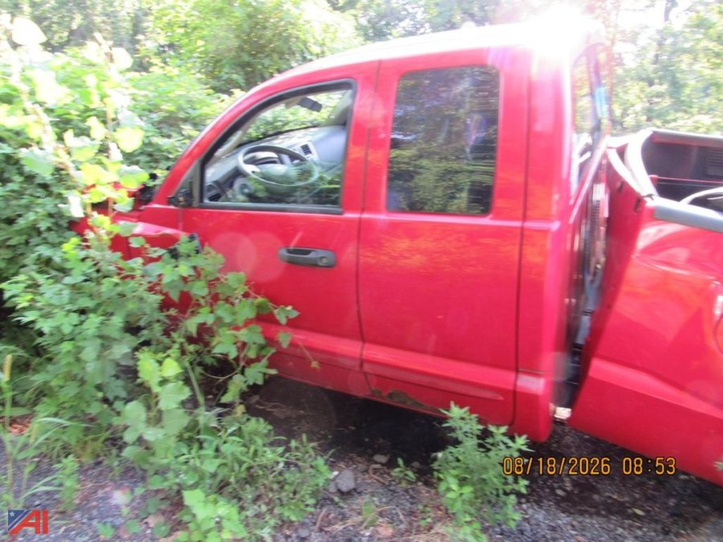 Side view of a red 2007 Dodge Dakota pickup truck cab with two doors, interior steering wheel visible, overgrown vegetation around the vehicle.