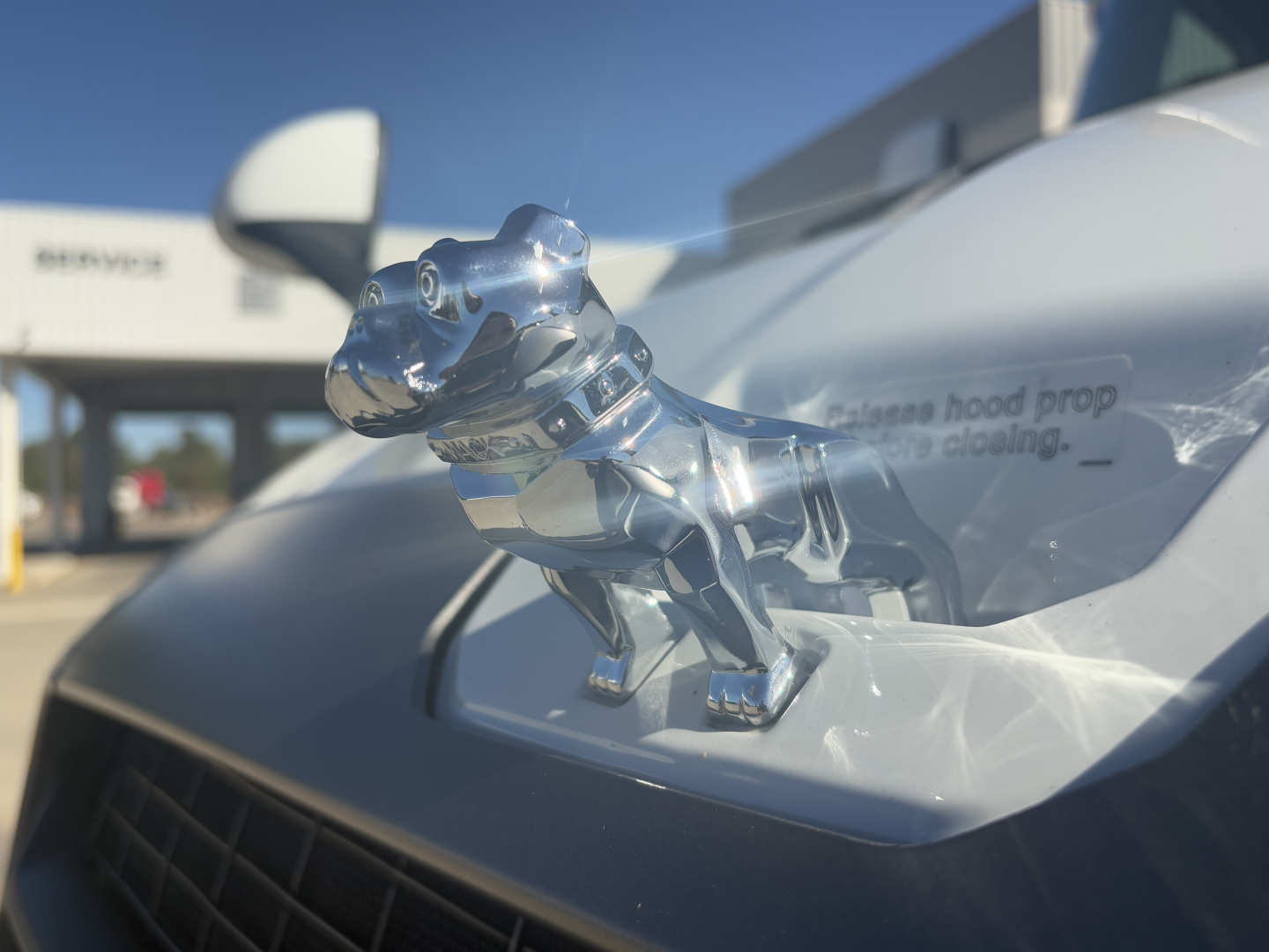 Chrome Mack bulldog hood ornament on the front of a new PR64T truck with dealership building in background.