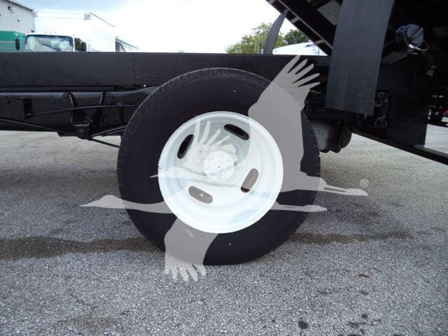 Ford E450 truck wheel and undercarriage showing white steel wheel and black frame.