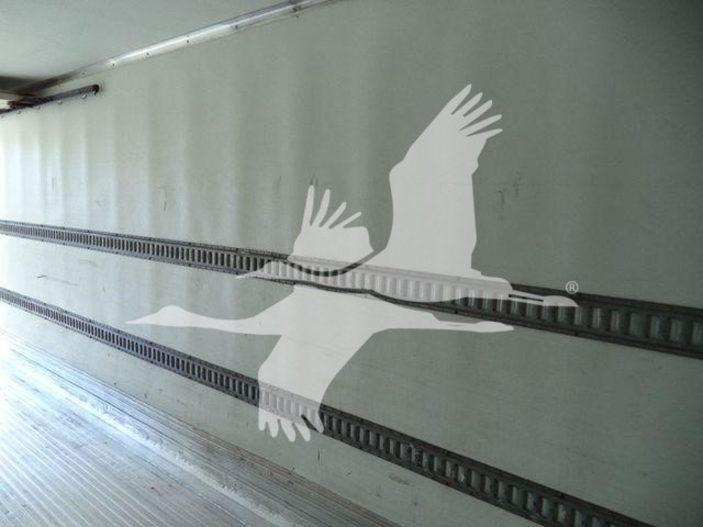 Exterior side of a refrigerated truck trailer with a large white seagull graphic on the side wall and rail tracks along the interior wall.
