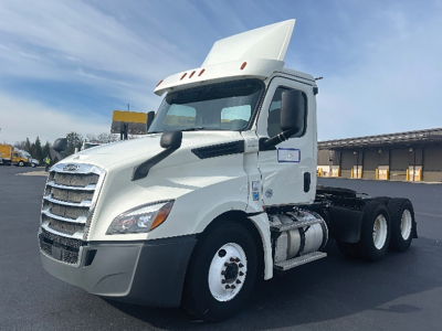 Truck cab of a 2019 Freightliner Cascadia126 head-on view showing front grille, windshield, and side mirrors; white exterior with large hood and sleeper.