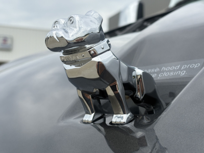 Chrome Mack bulldog hood ornament on a dark truck hood visible head-on with reflections and chrome finish.