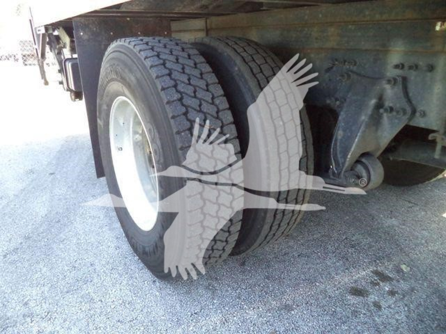 Rear dual wheels of a Freightliner M2 106 truck showing dual tires and suspension undercarriage.