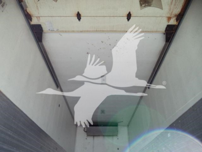 Freightliner M2 106 refrigeration truck interior cargo area with white branding birds logo visible on door; triangular ceiling and rear corner views.