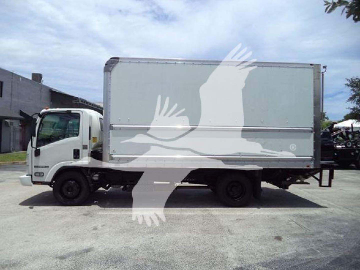 Isuzu NPR-HD box truck side profile with light gray cargo box and white cab. No legible model text visible on panel.