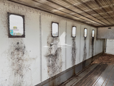 Trailer interior wall with vertical riveted panels, small rectangular windows with protective mesh and dirt marks along the lower wall.