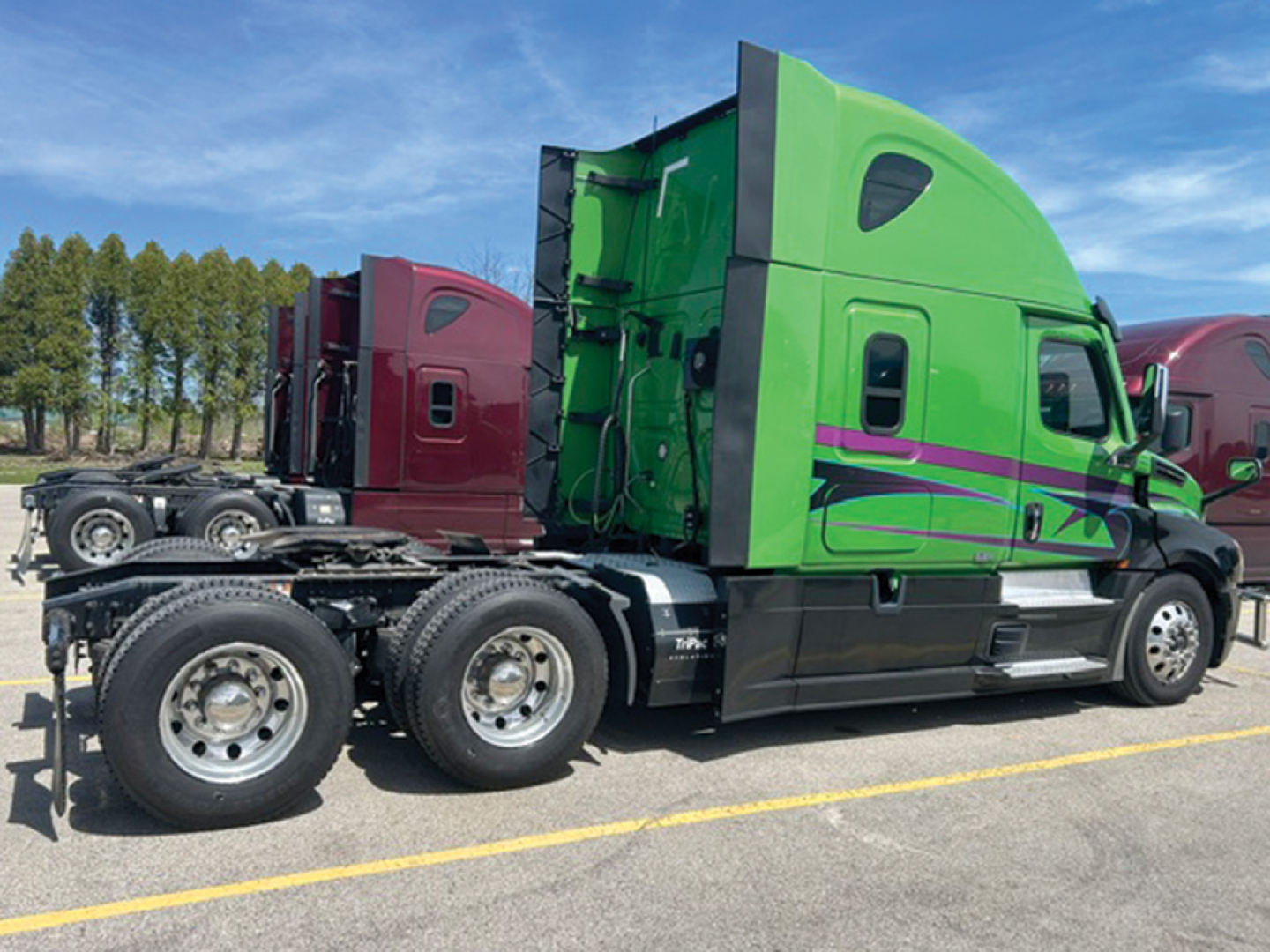 Truck cab and sleeper on a Freightliner Cascadia highway tractor showing bright green and purple custom paint with dual rear axles and chrome steps.