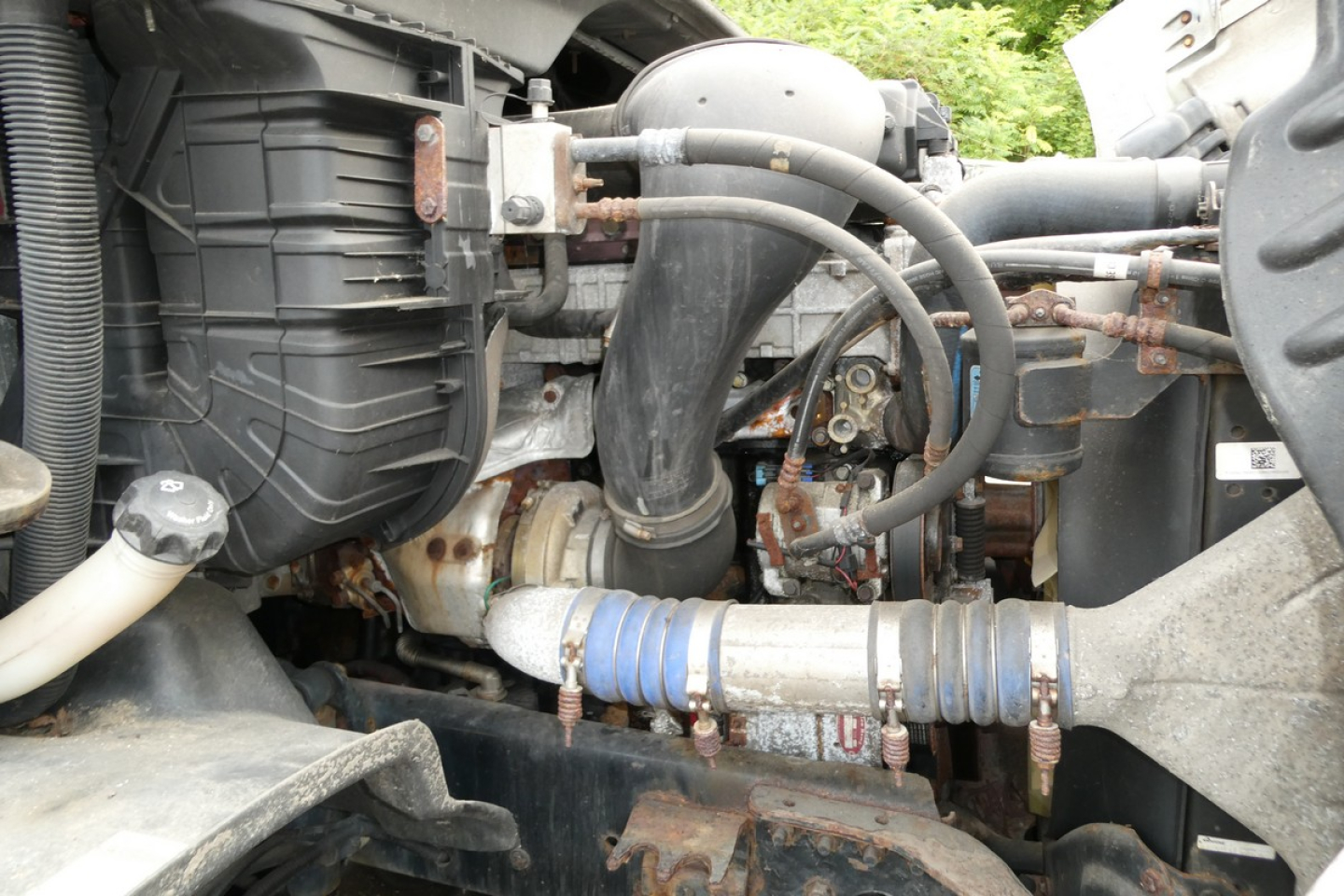 Engine bay of a Freightliner Cascadia 113 Daycab showing hoses, air intake, and engine components.