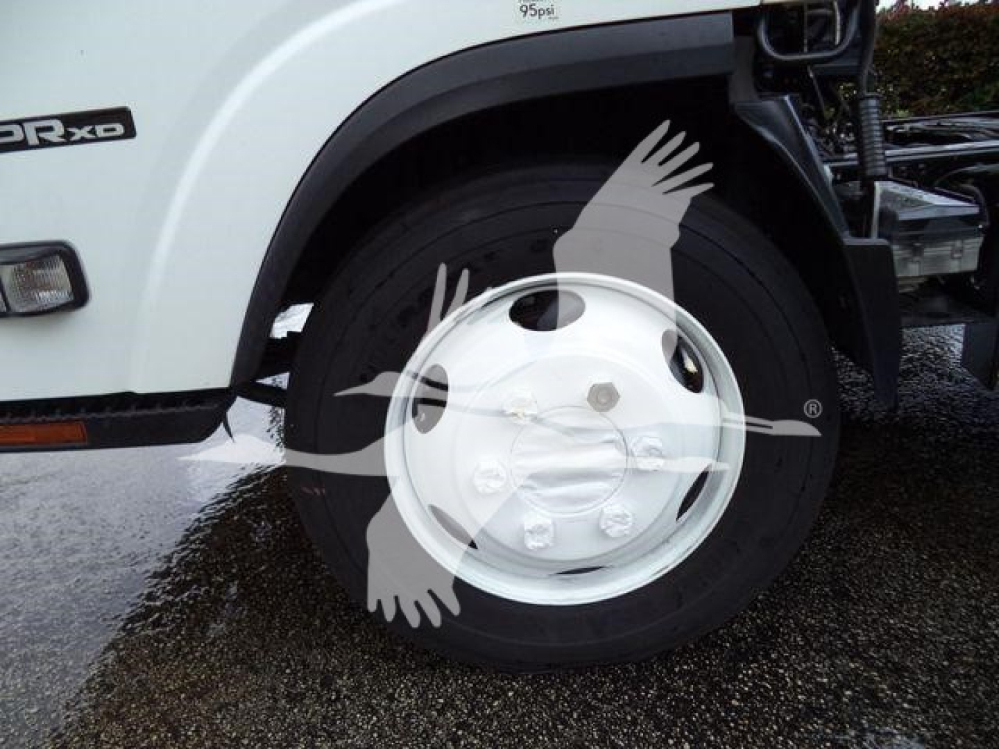 Isuzu NPR XD dump truck wheel and front fender showing 'NPR XD' badge and wheel cover.