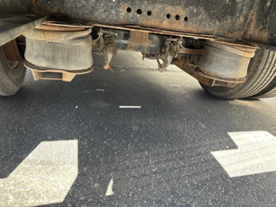 Underbody view of a 2013 Transcraft trailer showing suspension and wheels, rust-prone frame, leaf springs, and lower deck area.