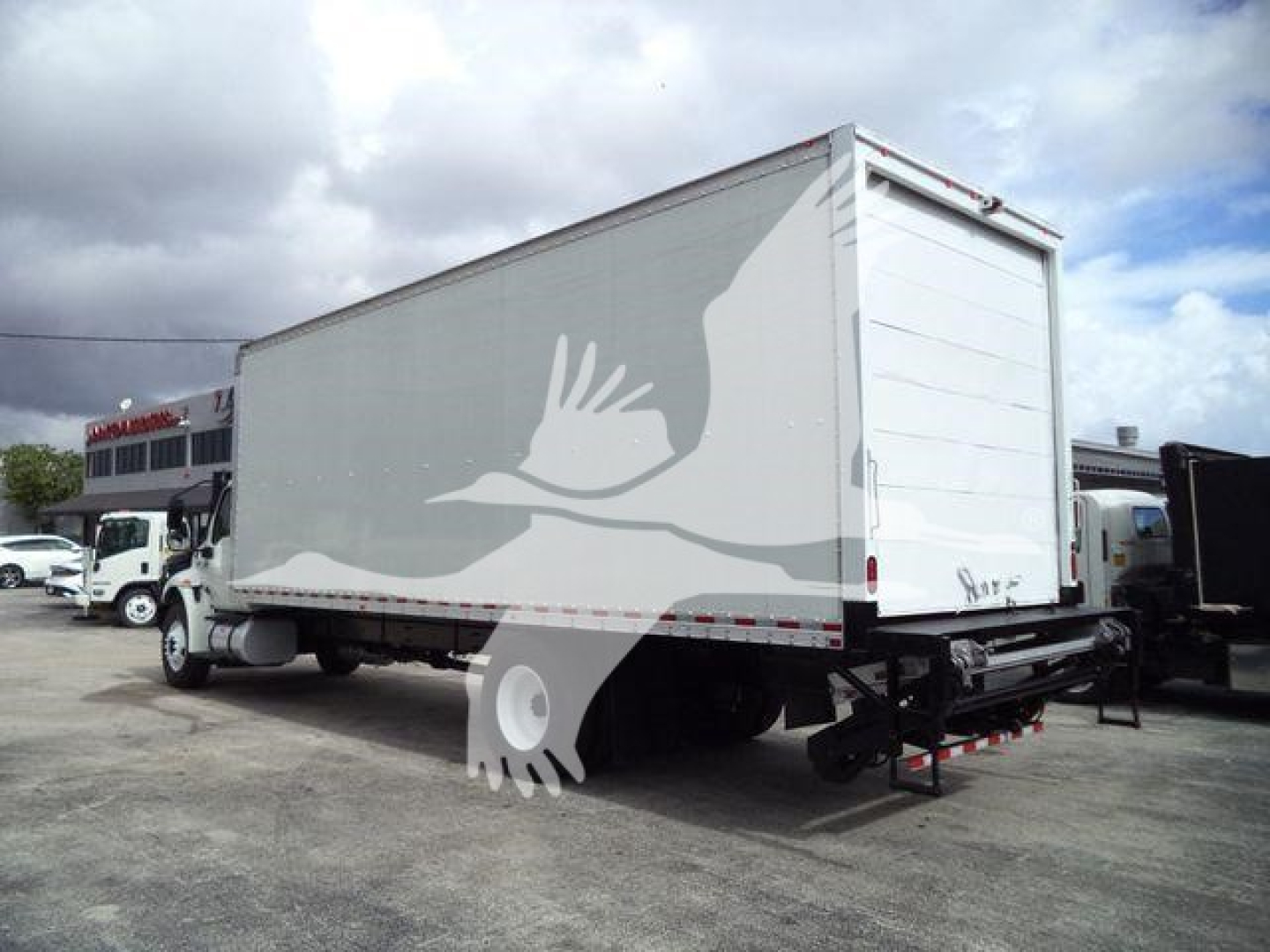 Box truck trailer attached to chassis, side view showing large white/dove graphic on light gray box, rear roll-up door, black undercarriage, and supporting legs.