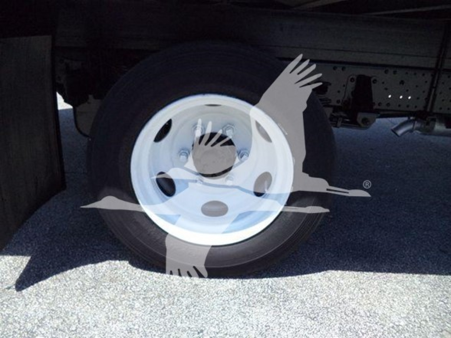 Isuzu NPR HD wheel and undercarriage showing wheel and underside components.