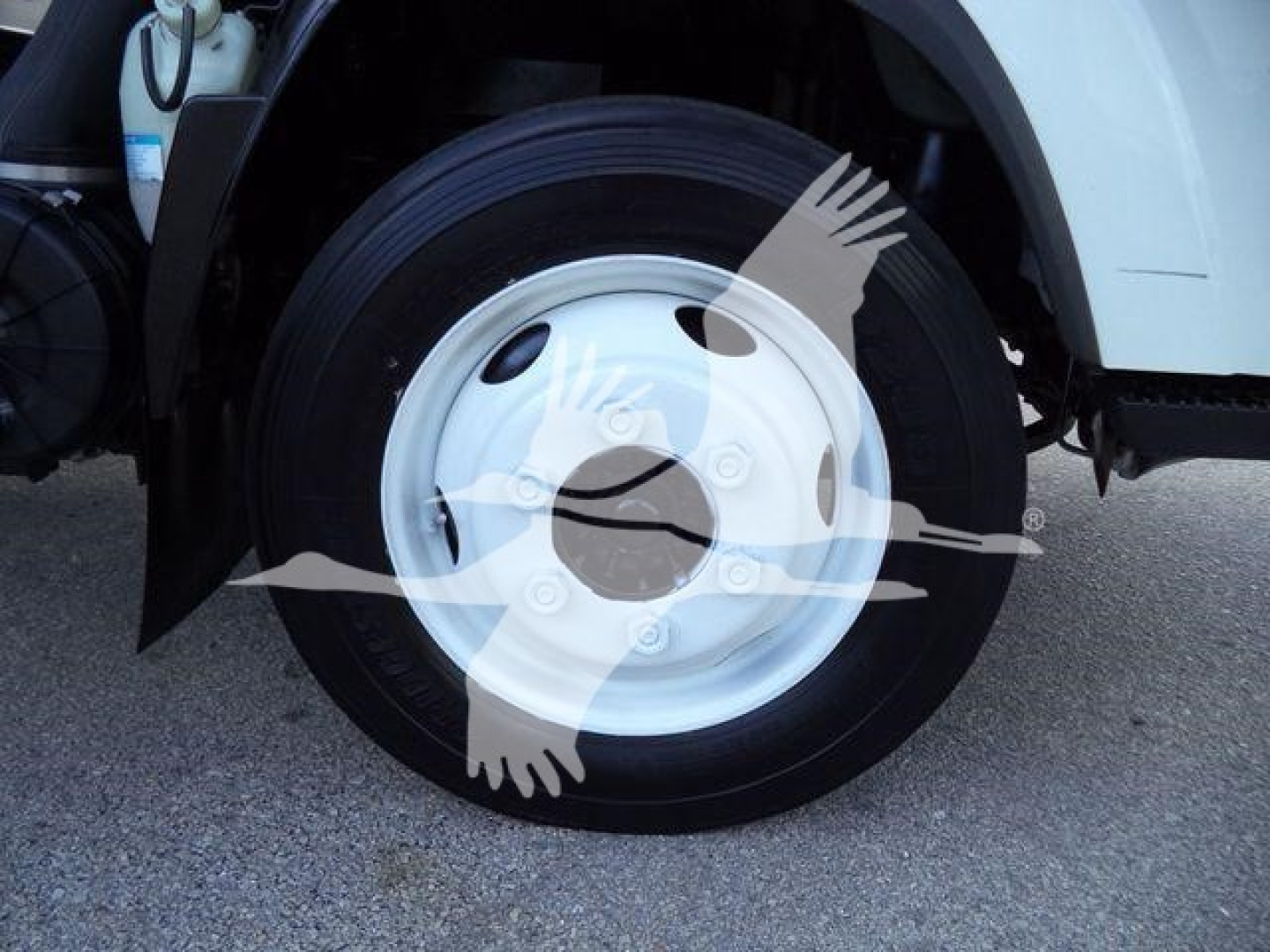 Isuzu NPR HD truck front wheel showing white steel wheel and black tire with partial cab visible