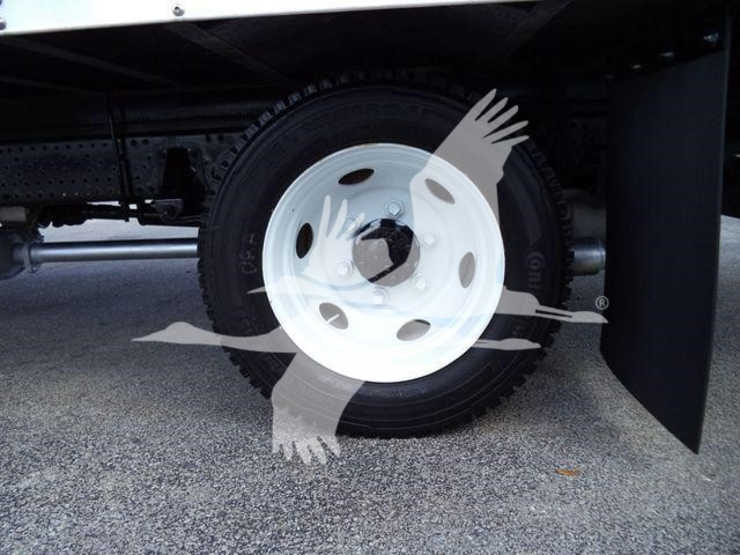 Isuzu NPR-HD truck wheel assembly and tire visible under cargo box, white steel wheel with central hub, black tire, undercarriage components in view.