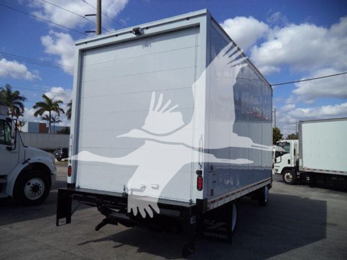 Isuzu NPR HD box truck rear view showing cargo area and tailgate with white exterior and shadowed reflective decals.