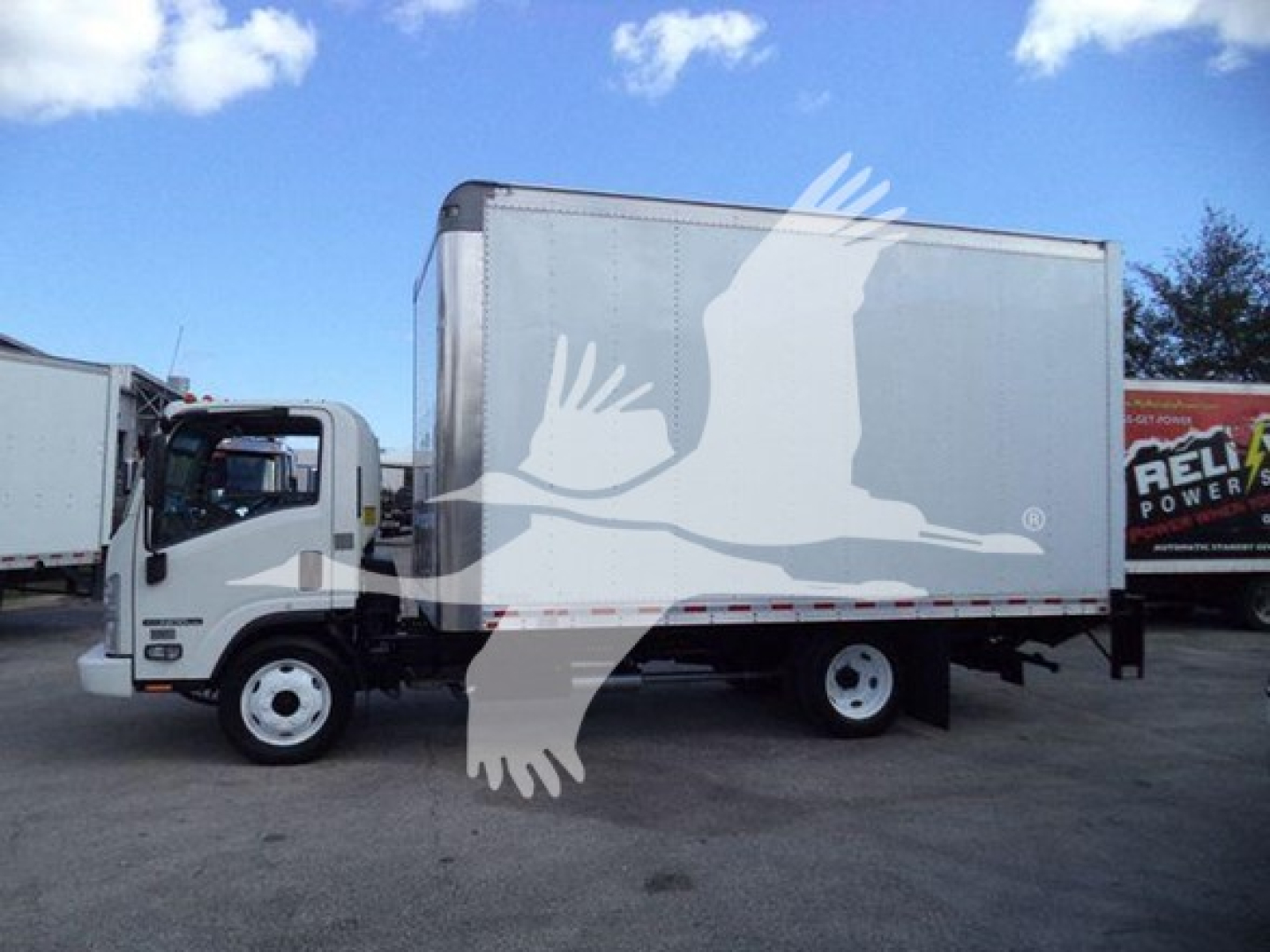 Isuzu NPR HD box truck side view with white cab and gray cargo box.