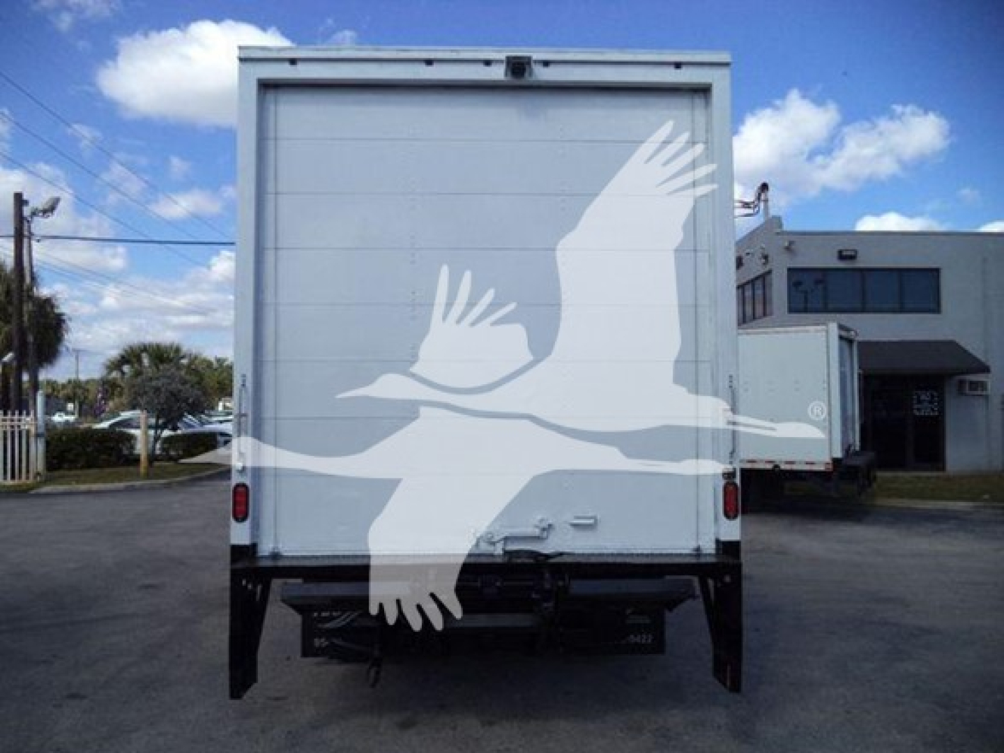 Isuzu NPR HD box truck rear view showing large white graphic of birds in flight over the back doors. No visible text.