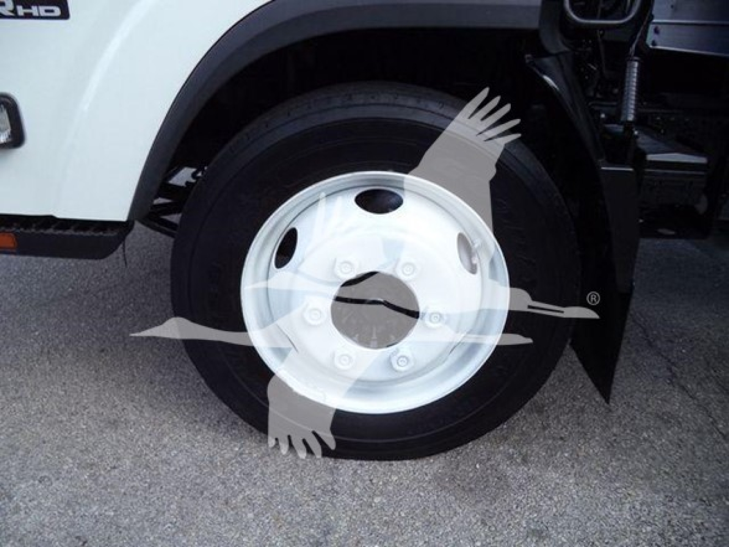 Isuzu NPR HD truck front wheel area showing white steel wheel, part of cab with 'RHD' badge visible.