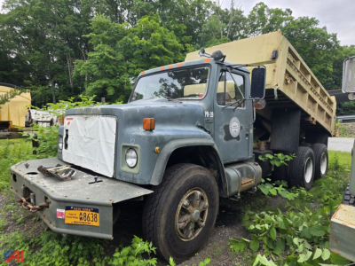 Dump truck from 1987 International 1954 with a raised beige dump bed, square cab, front bumper, and yellow New York license plate; overgrown vegetation around the wheels.