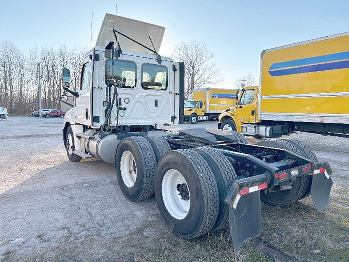 Freightliner Cascadia126 tractor view showing rear dual axles and bunk area with raised hood.
