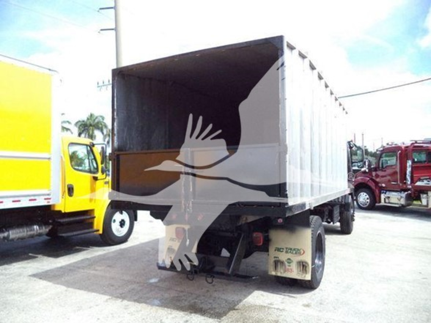 Isuzu FTR dump truck viewed from rear-left showing cargo bed and rear tires.