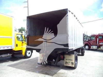 Isuzu FTR dump truck viewed from rear-left showing cargo bed and rear tires.