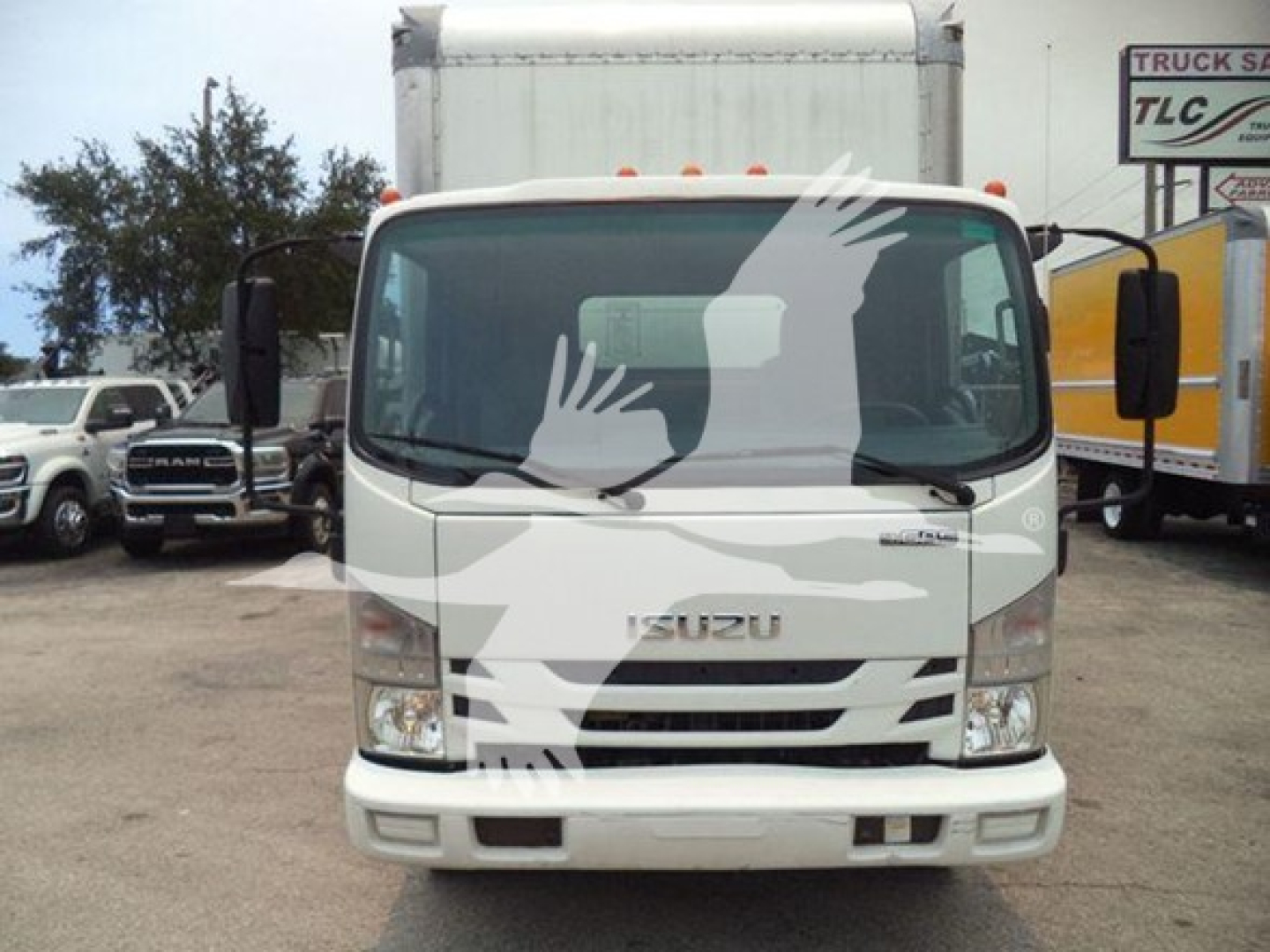 Isuzu NPR HD box truck front view, white cab, Isuzu emblem, grille, bumper, with side mirrors and windshield wipers visible; dealership lot background.