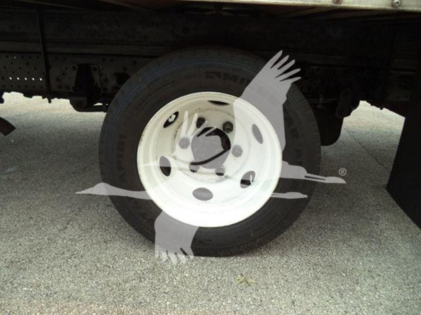 Isuzu NPR HD truck wheel and tire visible under chassis with white steel wheel.