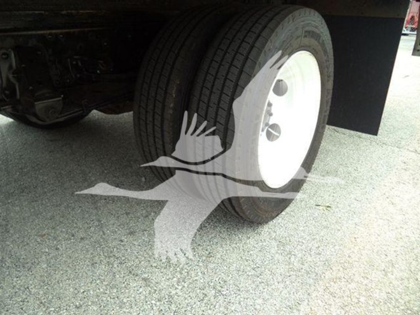Isuzu NPR HD truck wheel and tire in view under chassis, white steel wheel, dual rear tires visible.