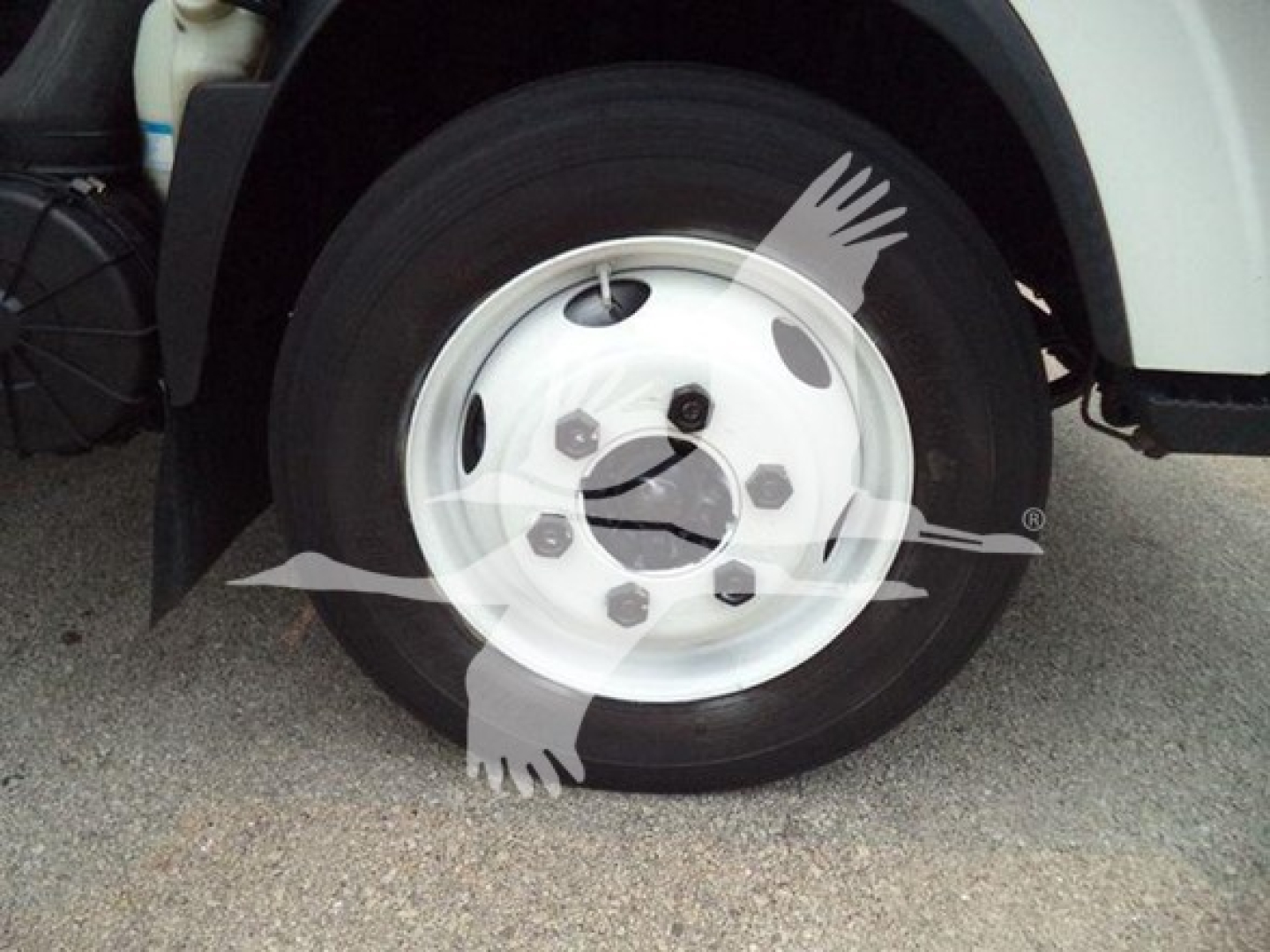 Isuzu NPR HD wheel and front fender showing steel rim with hubcap, black tire, and surrounding wheel well.