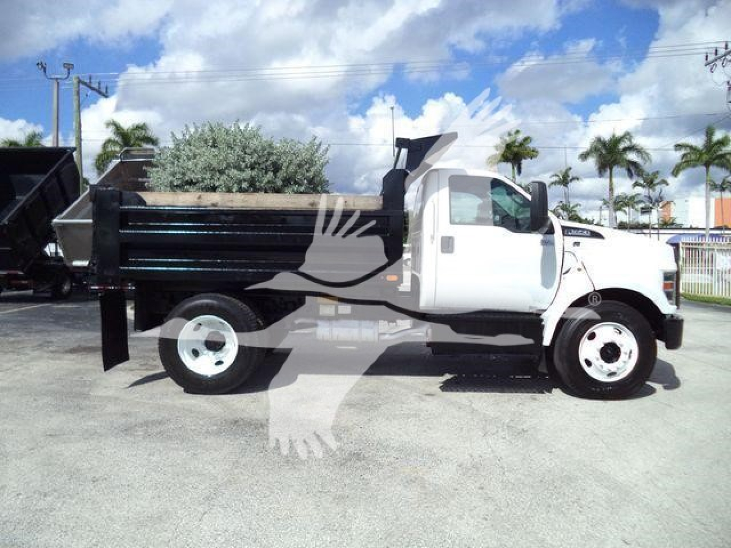 Truck side view of a 2017 Ford F650 XL SD dump truck showing dumped bed and white cab.