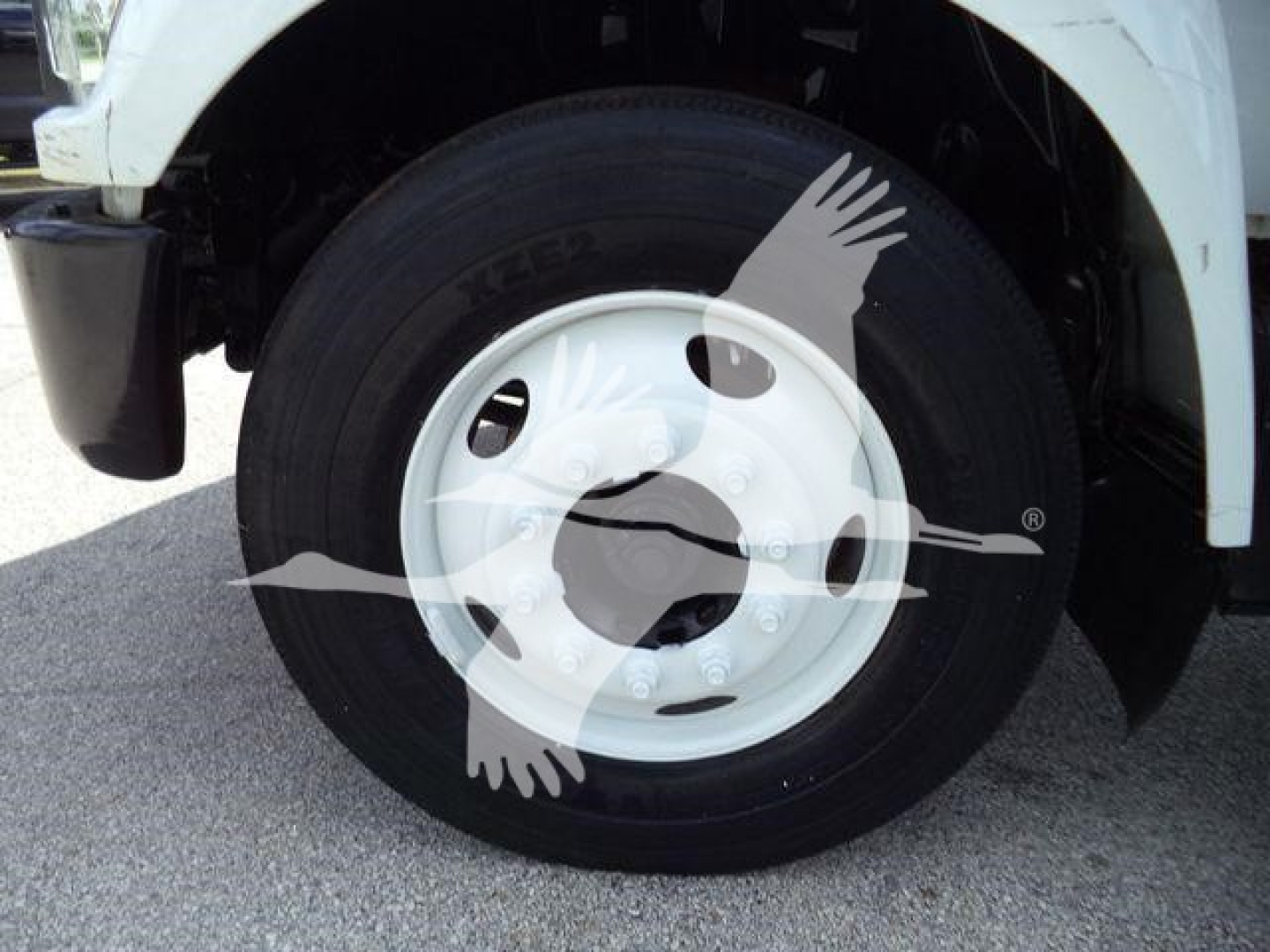 Ford F650 wheel and tire assembly showing front axle disk and white steel wheel.