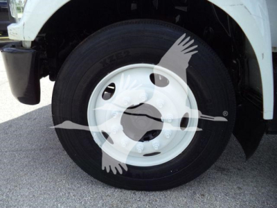Ford F650 wheel and tire assembly showing front axle disk and white steel wheel.