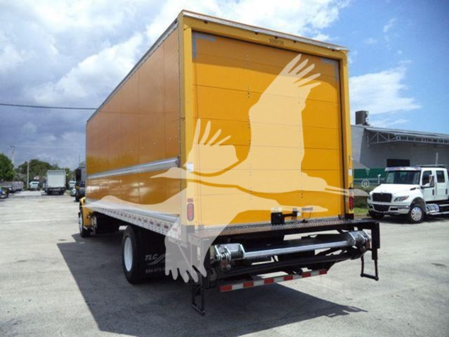 Freightliner M2 106 box truck rear view showing orange cargo box, black bumper, silver undercarriage, and a graphic of white birds on the rear door.