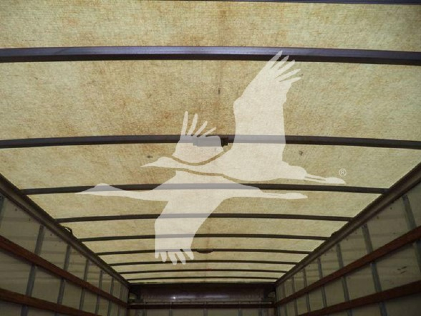 White freight trailer interior with overhead liner and cargo area, decorative white seagull silhouette pattern on ceiling.