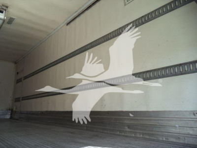 Freightliner M2-106 truck cargo area interior with white crane logo on side wall.